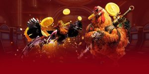 Đá gà casino bộ môn kết hợp đa dạng