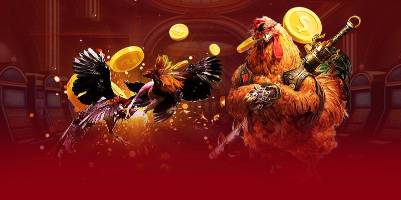 Đá gà casino bộ môn kết hợp đa dạng
