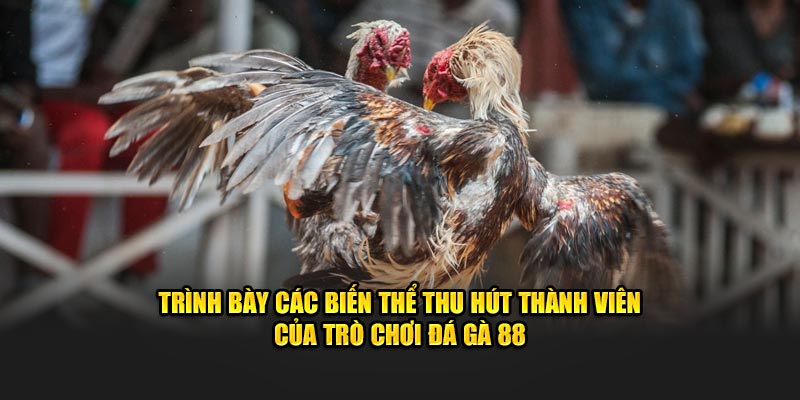 Các biến thể thu hút thành viên đá gà 88