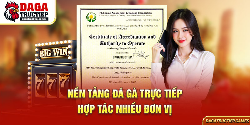 Nền tảng đá gà trực tiếp hợp tác nhiều đơn vị