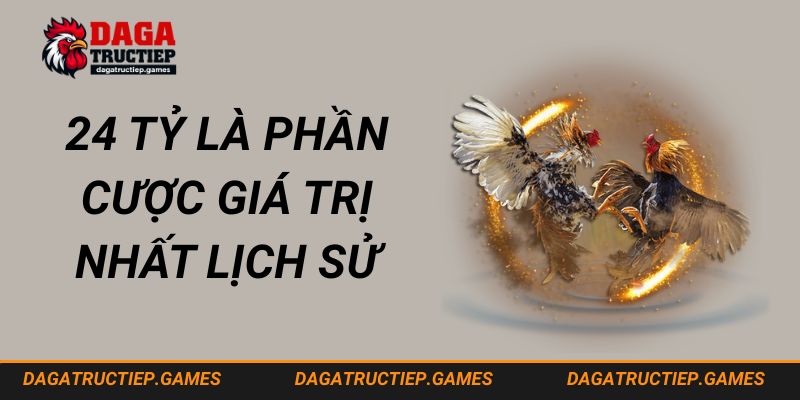 Trận đá gà 24 tỷ phần cược giá trị nhất