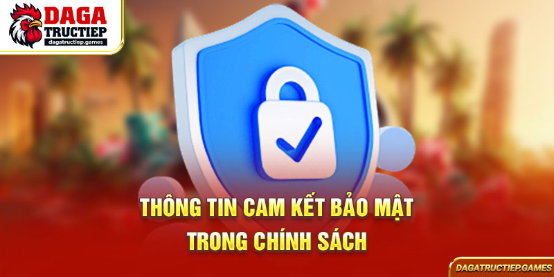 Thông tin cam kết bảo mật trong chính sách