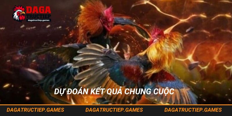 Dự đoán kết quả đá gà trực tiếp chung cuộc